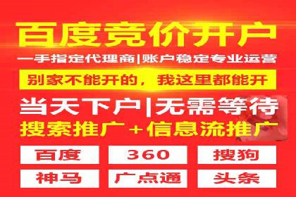 SEM推广技巧：成功案例深度剖析